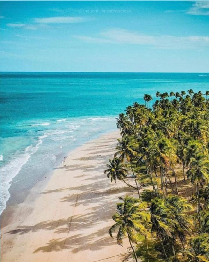 Flat Eco Resort Praia Carneiros Pe Tamandaré Eksteriør bilde
